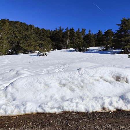 Appartement Greoliere Les Neiges Avec Exterieur Греолиер Екстериор снимка